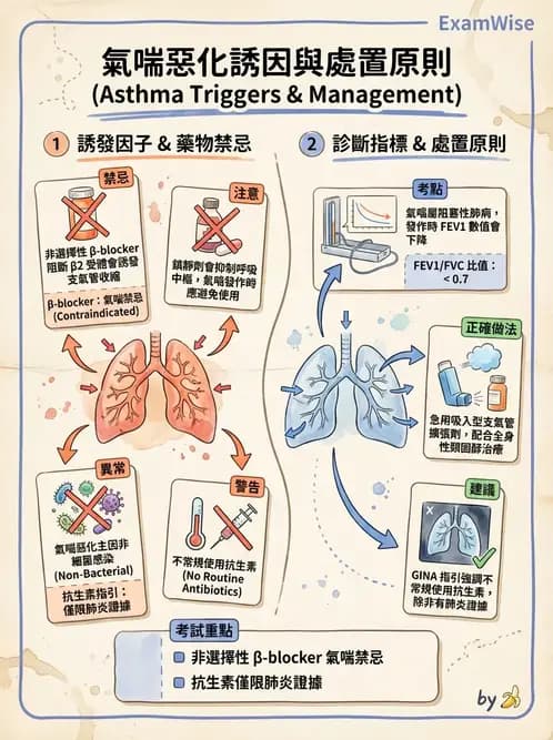 物治 - 心肺系統疾病 - AI 圖文解析預覽