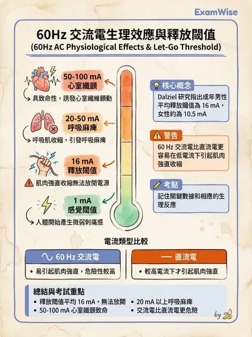 物治 - 經皮電刺激與電療基礎 - AI 圖文解析預覽