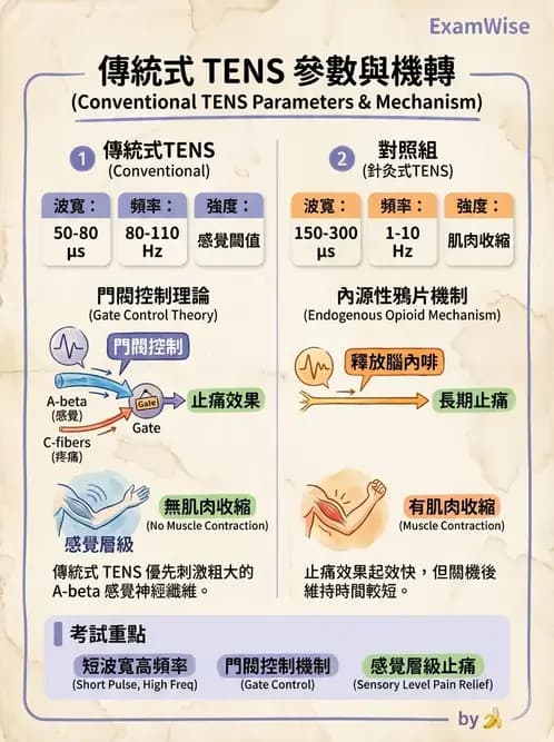 物治 - 經皮電刺激與電療基礎 - AI 圖文解析預覽