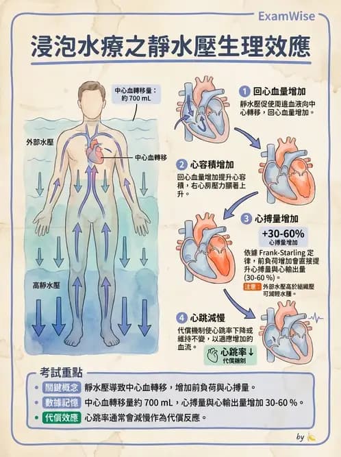 物治 - 水療 - AI 圖文解析預覽