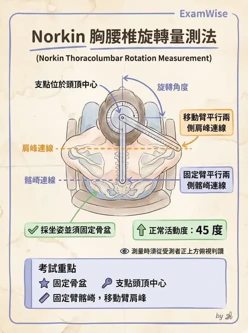 物治 - 下肢與脊椎關節活動度 - AI 圖文解析預覽