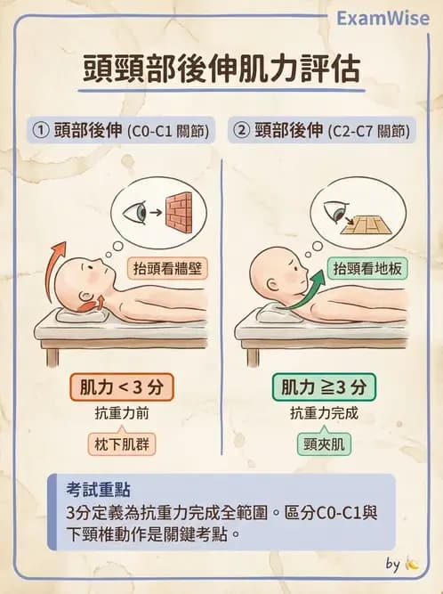 物治 - MMT通則、頭頸與軀幹 - AI 圖文解析預覽