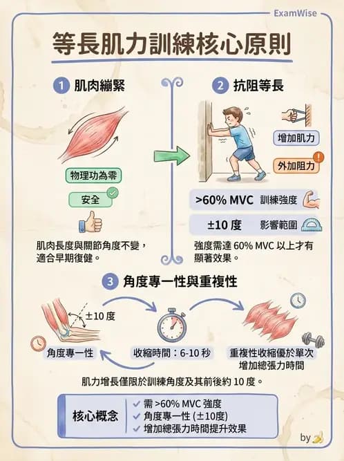 物治 - 肌力訓練方法 - AI 圖文解析預覽
