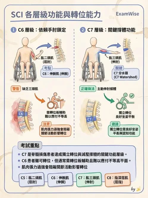 物治 - 轉位技巧 - AI 圖文解析預覽