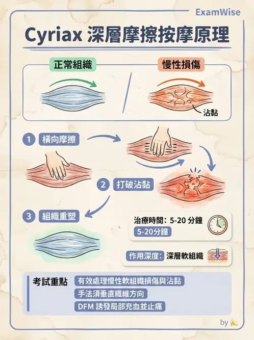 物治 - 深層摩擦按摩與結締組織技術 - AI 圖文解析預覽