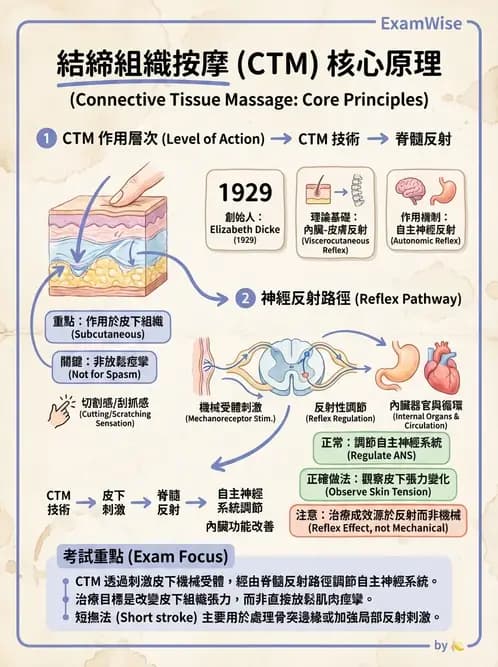 物治 - 深層摩擦按摩與結締組織技術 - AI 圖文解析預覽