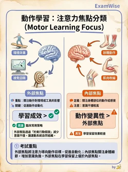 物治 - 動作學習 - AI 圖文解析預覽