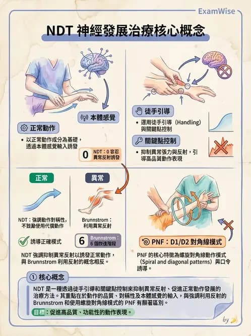 物治 - 神經治療學派技術 - AI 圖文解析預覽