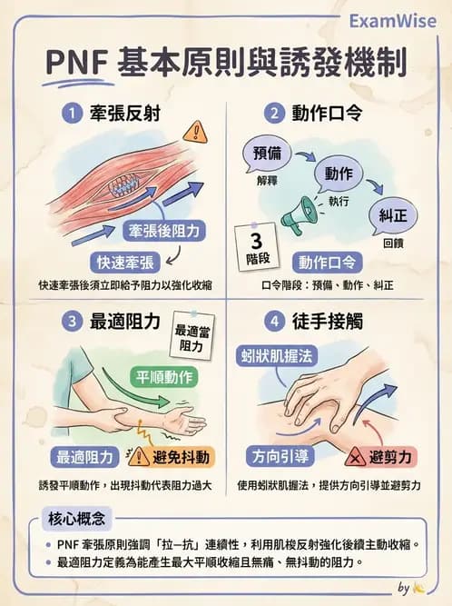物治 - 神經治療學派技術 - AI 圖文解析預覽