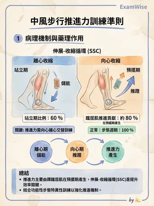 物治 - 腦中風步態分析與行走訓練 - AI 圖文解析預覽