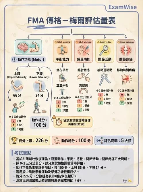 物治 - 腦中風動作評估與分期 - AI 圖文解析預覽