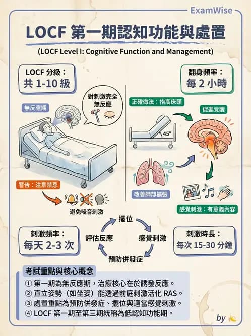 物治 - TBI LOCF分級與復健 - AI 圖文解析預覽