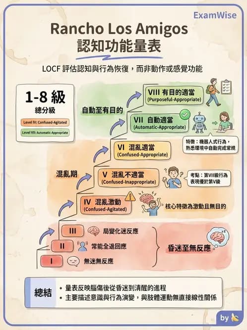物治 - TBI LOCF分級與復健 - AI 圖文解析預覽