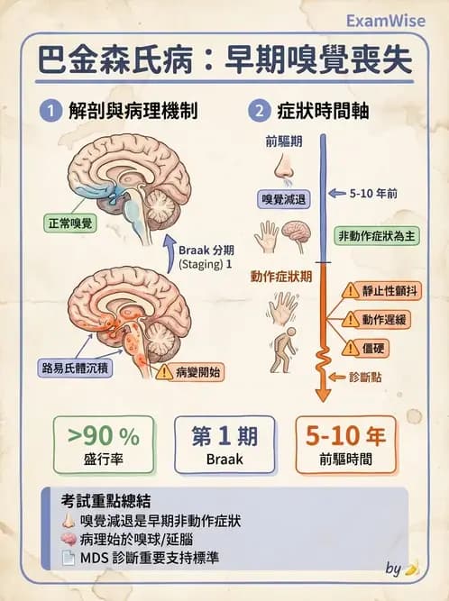 物治 - 巴金森氏病物理治療 - AI 圖文解析預覽