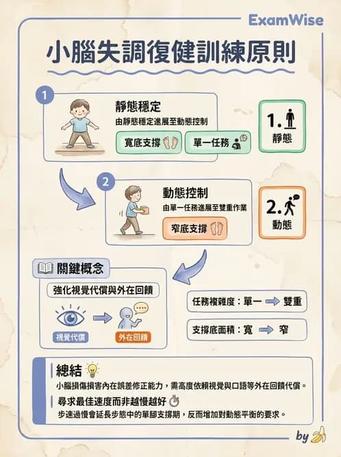 物治 - 小腦疾病物理治療 - AI 圖文解析預覽