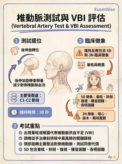 物治 - 頸椎評估與病理 - AI 圖文解析預覽