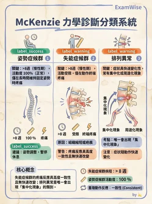 物治 - 腰椎穩定訓練與治療原則 - AI 圖文解析預覽