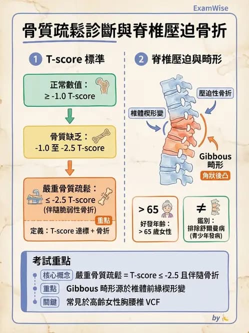 物治 - 女性健康 - AI 圖文解析預覽