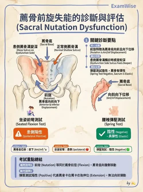 物治 - 薦髂關節評估與治療 - AI 圖文解析預覽