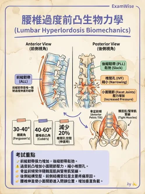 物治 - 姿勢 - AI 圖文解析預覽