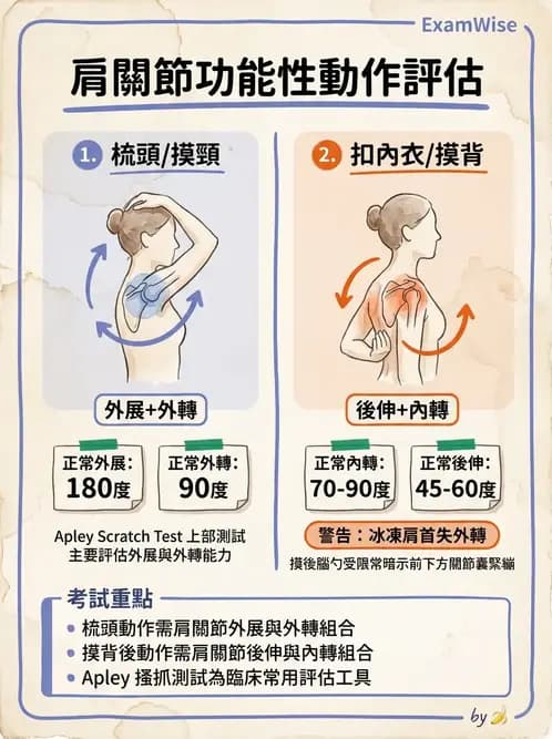 物治 - 冰凍肩與胸廓出口症候群 - AI 圖文解析預覽