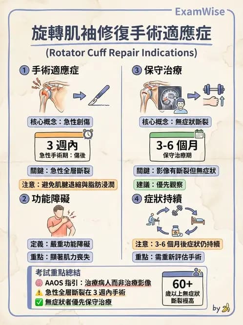 物治 - 肩關節夾擠與旋轉肌袖 - AI 圖文解析預覽