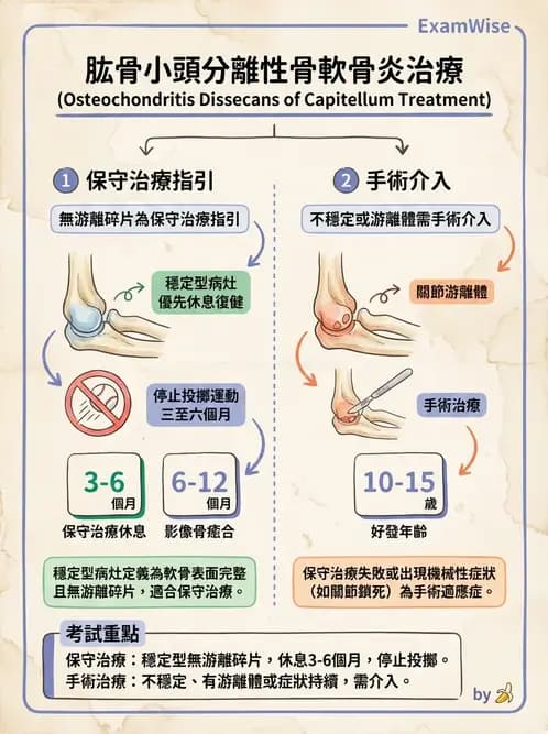 物治 - 肘及前臂關節 - AI 圖文解析預覽