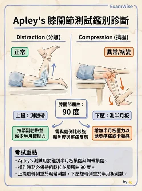 物治 - 膝關節韌帶與半月板損傷 - AI 圖文解析預覽