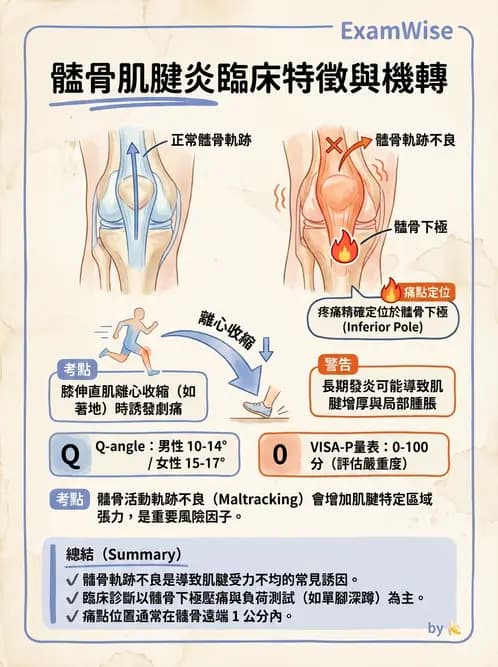 物治 - 髕股關節疼痛與伸展機制 - AI 圖文解析預覽
