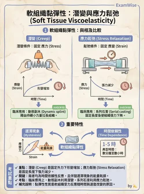 物治 - 初級照護與鑑別診斷 - AI 圖文解析預覽