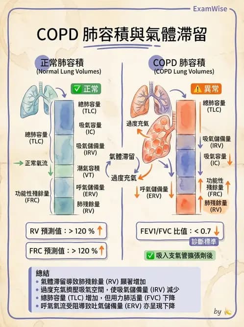 物治 - 阻塞性肺疾病物理治療 - AI 圖文解析預覽