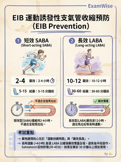 物治 - 阻塞性肺疾病物理治療 - AI 圖文解析預覽