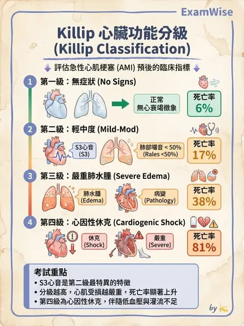 物治 - 心臟診斷工具與運動測試 - AI 圖文解析預覽