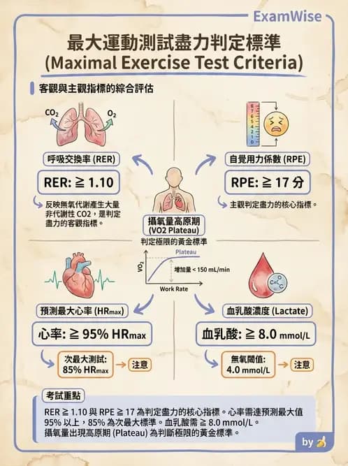物治 - 體適能評估與運動測試 - AI 圖文解析預覽