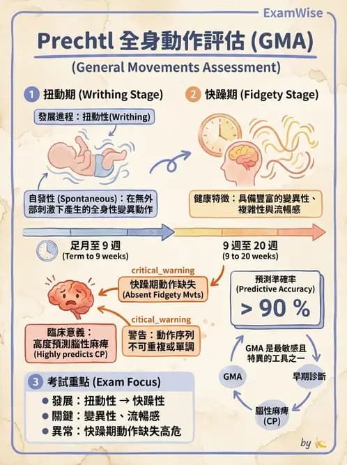 物治 - 新生兒與嬰兒發展評估 - AI 圖文解析預覽