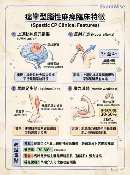 物治 - 腦性麻痺分類、評估與步態 - AI 圖文解析預覽