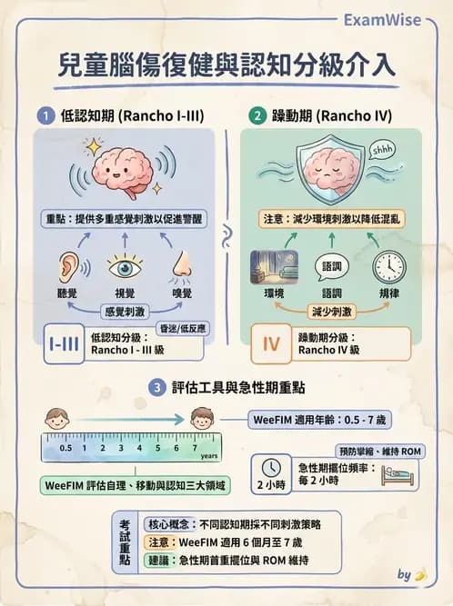 物治 - 小兒心臟、癌症與外傷物理治療 - AI 圖文解析預覽