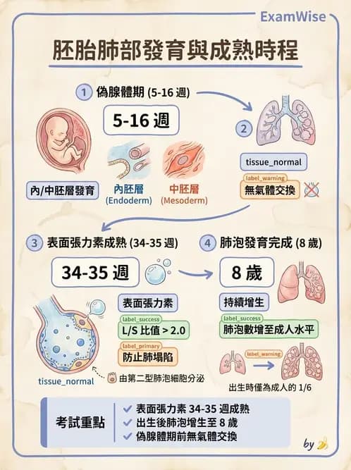 物治 - 小兒呼吸疾患與NICU物理治療 - AI 圖文解析預覽