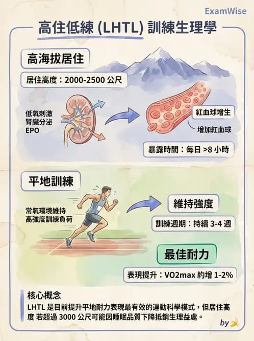 物治 - 運動與環境心肺生理 - AI 圖文解析預覽