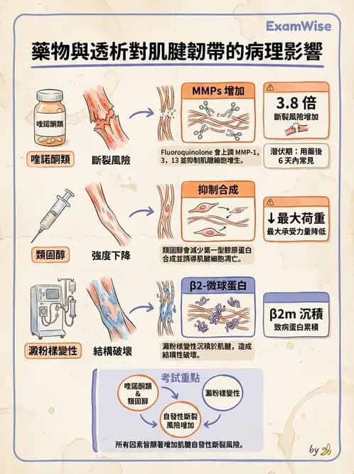 物治 - 組織生物力學 - AI 圖文解析預覽