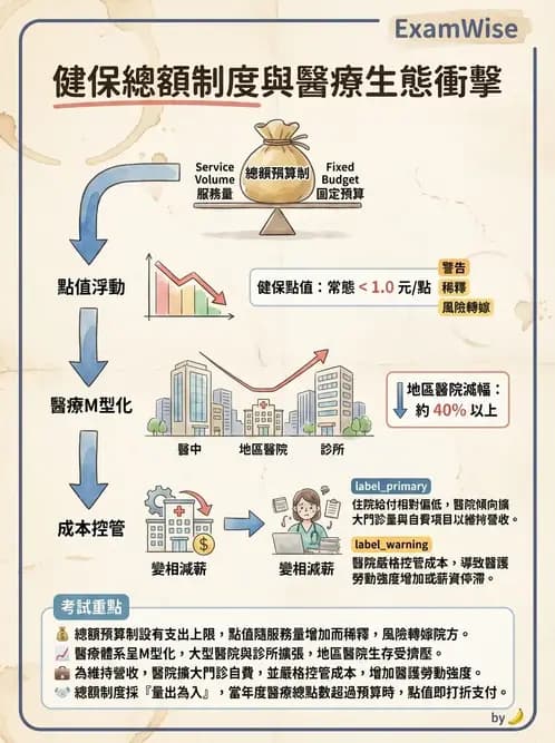 物治 - 全民健保制度 - AI 圖文解析預覽