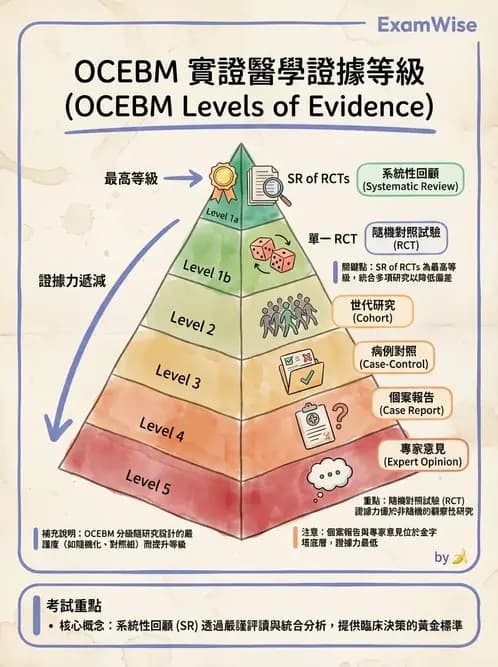 物治 - 實證概念與發展 - AI 圖文解析預覽