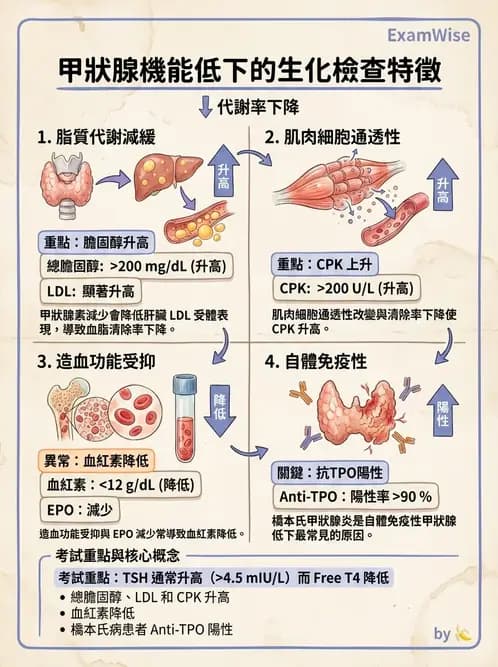 物治 - 內科疾病概論 - AI 圖文解析預覽