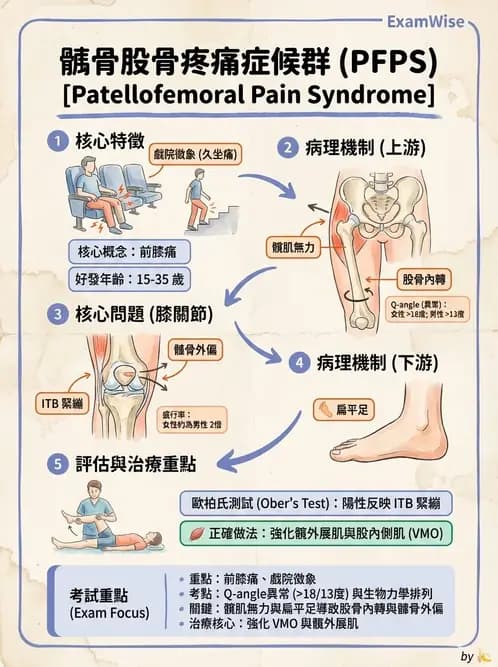 物治 - 骨科與外科疾病 - AI 圖文解析預覽