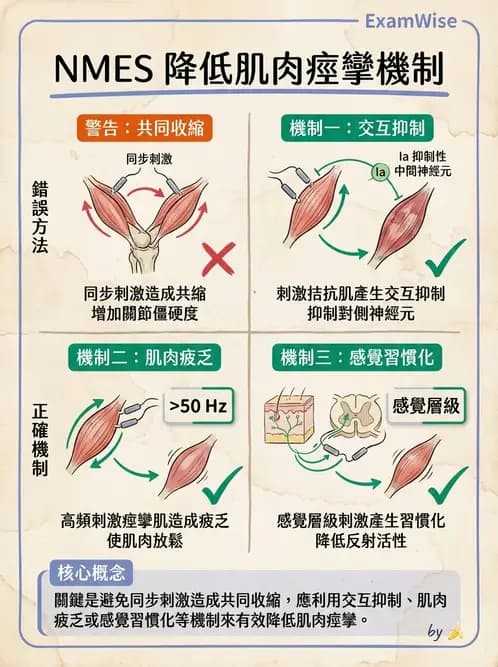 物治 - 神經肌肉電刺激 - AI 圖文解析預覽