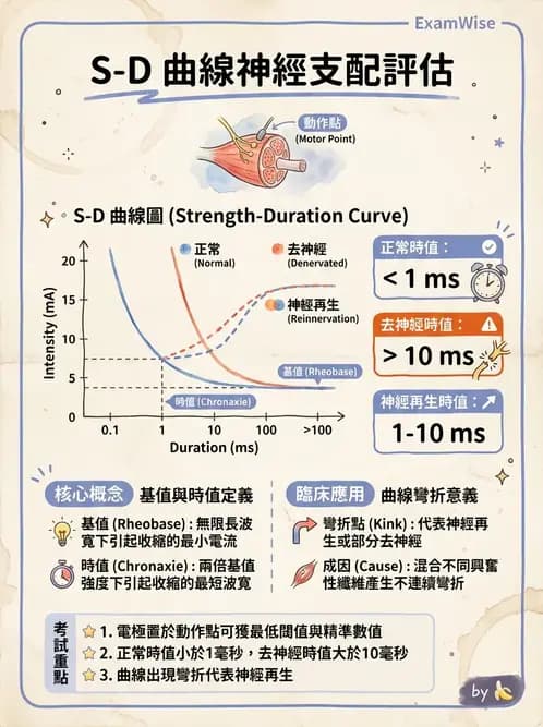 物治 - 電生理診斷 - AI 圖文解析預覽