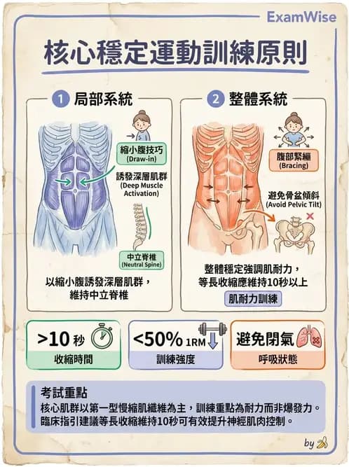 物治 - 核心穩定與功能性訓練 - AI 圖文解析預覽