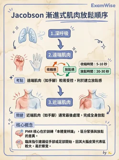 物治 - 懸吊系統與放鬆 - AI 圖文解析預覽