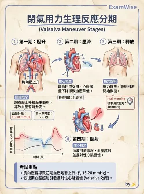 物治 - 肌耐力與神經肌肉適應 - AI 圖文解析預覽