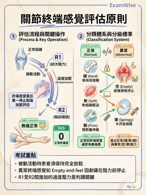 物治 - 鬆動術基礎概念與原則 - AI 圖文解析預覽